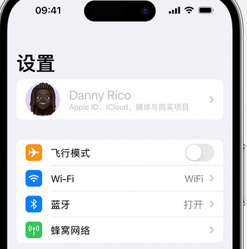 通什镇appleID维修服务iPhone设置中Apple ID显示为灰色无法使用