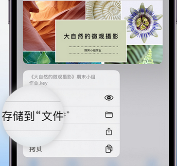 通什镇apple维修中心分享iPhone文件应用中存储和找到下载文件