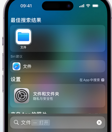 通什镇apple维修中心分享iPhone文件应用中存储和找到下载文件 