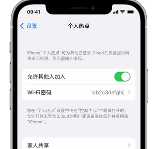 通什镇apple服务站点分享iPhone上个人热点丢失了怎么办 