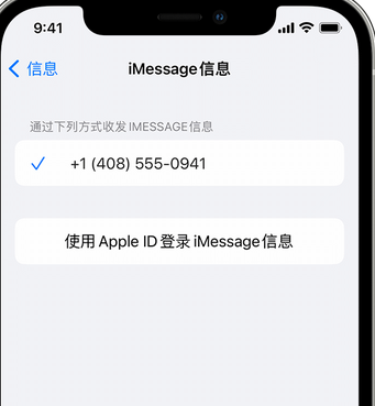 通什镇apple维修iPhone上无法正常发送iMessage信息 