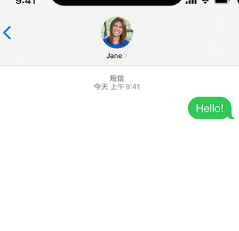 通什镇apple维修iPhone上无法正常发送iMessage信息