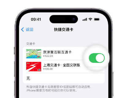 通什镇apple维修点分享iPhone上更换Apple Pay快捷交通卡手绘卡面 