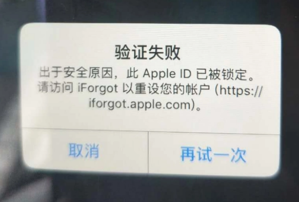 通什镇iPhone维修分享iPhone上正常登录或使用AppleID怎么办 