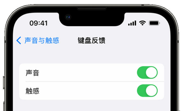 通什镇苹果手机维修分享iPhone 14触感键盘使用方法 