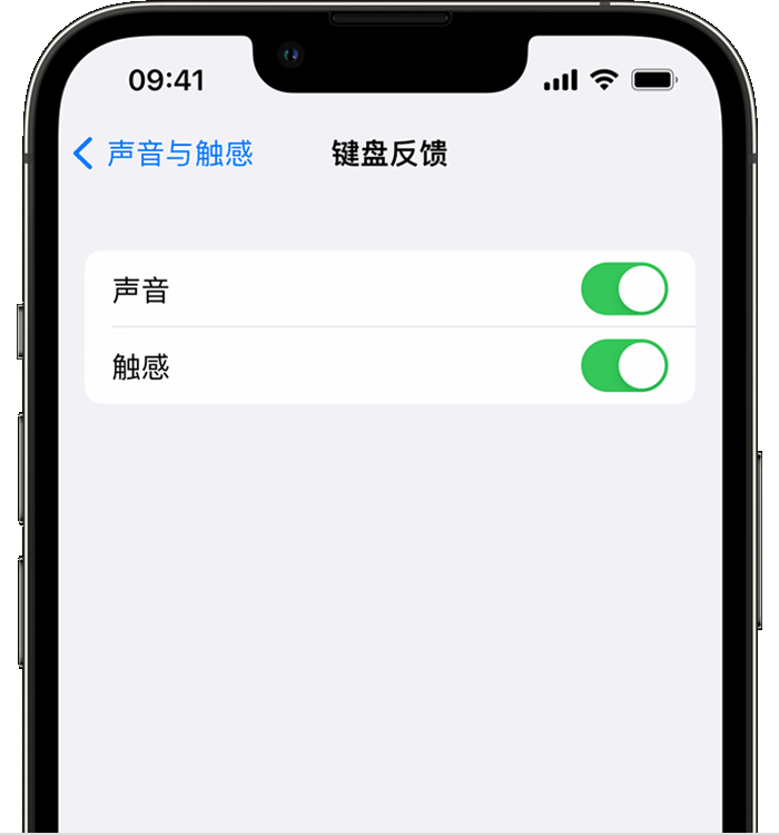 通什镇苹果14维修店分享如何在 iPhone 14 机型中使用触感键盘 