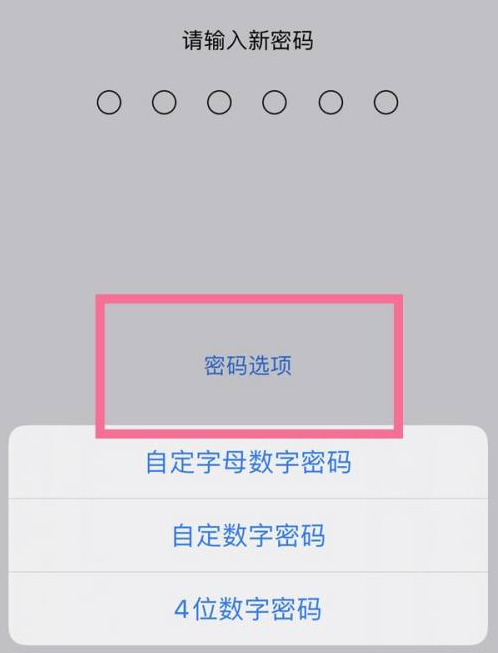 通什镇苹果14维修分享iPhone 14plus设置密码的方法 