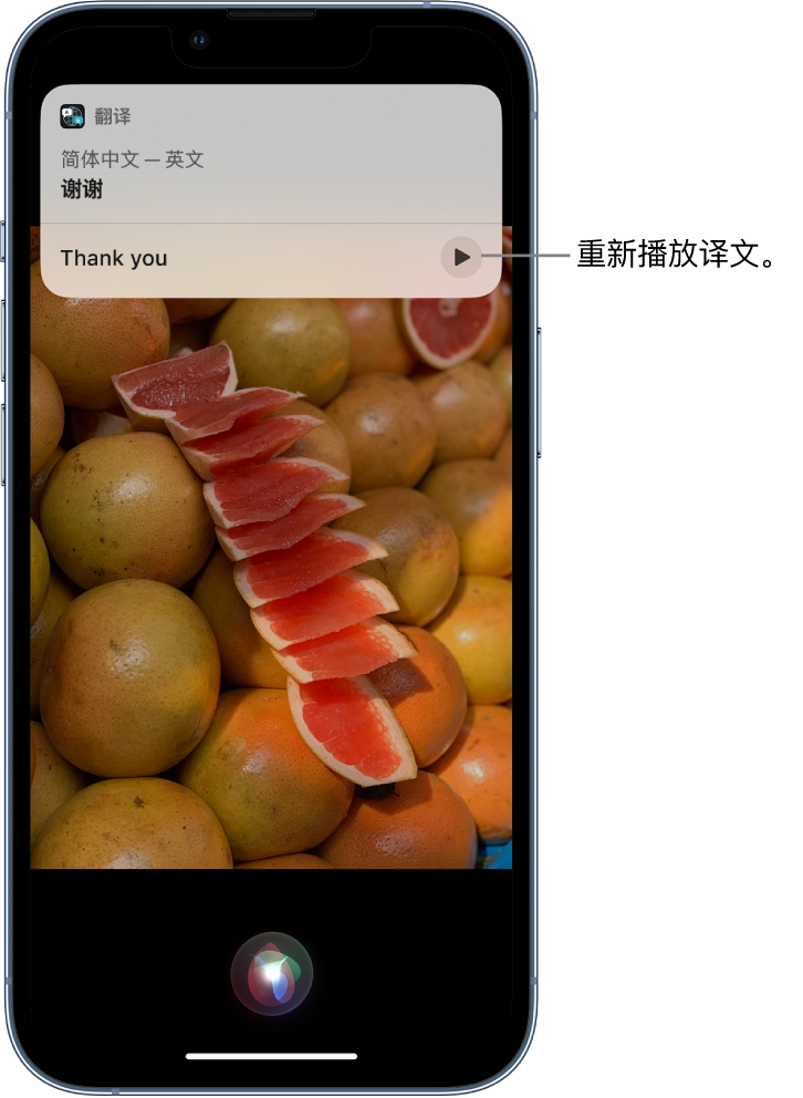 通什镇苹果14维修分享 iPhone 14 机型中使用 Siri：了解 Siri 能帮你做什么 