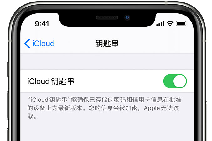 通什镇苹果手机维修分享在 iPhone 上开启 iCloud 钥匙串之后会储存哪些信息 