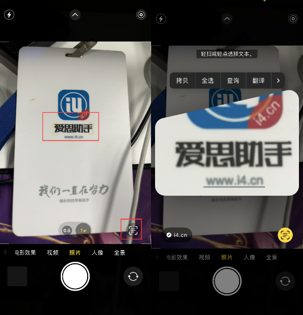 通什镇苹果手机维修分享升级iOS 16后如何通过相机翻译文本 