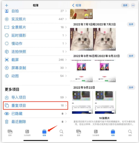 通什镇苹果手机维修分享iOS 16 中相册重复项目功能使用方法 