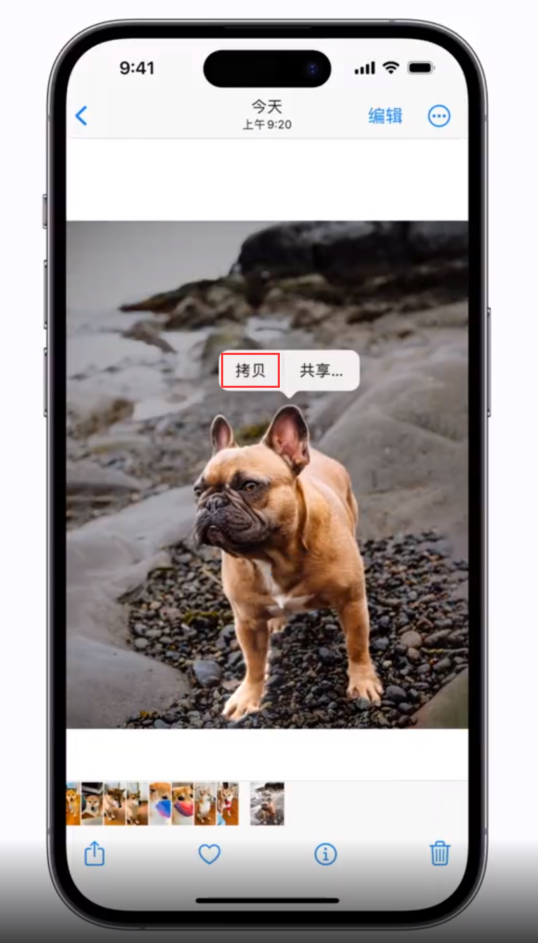 通什镇苹果手机维修分享 iOS 16 自带一键抠图功能 