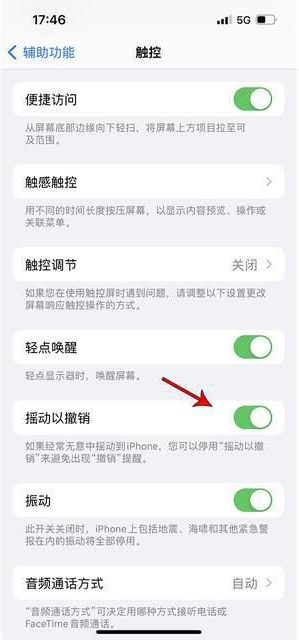 通什镇苹果手机维修分享iPhone手机如何设置摇一摇删除文字 