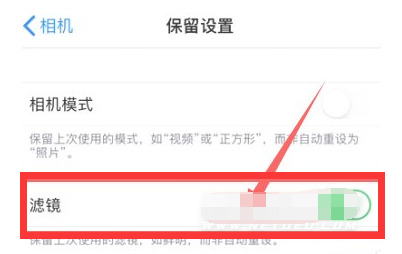 通什镇苹果13维修分享iPhone13拍照有绿点是怎么回事 