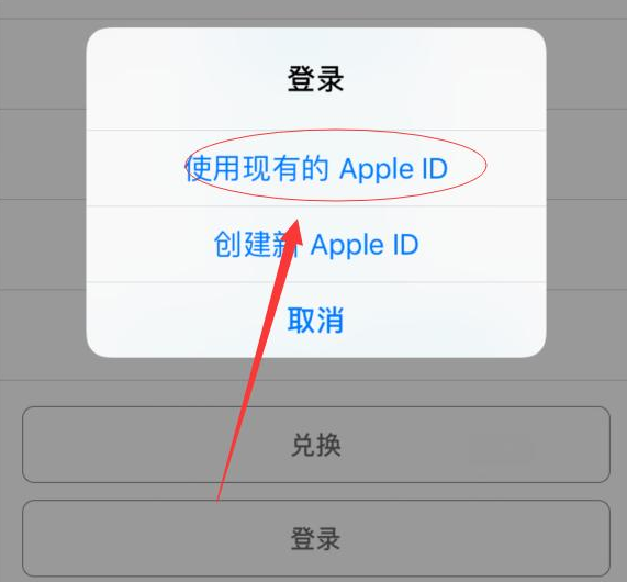 通什镇苹果手机维修分享两台iPhone设备可以同时登录一个Apple ID吗 
