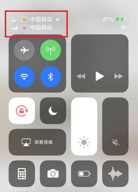 通什镇苹果手机维修分享为 iPhone 12 双卡设置标签 